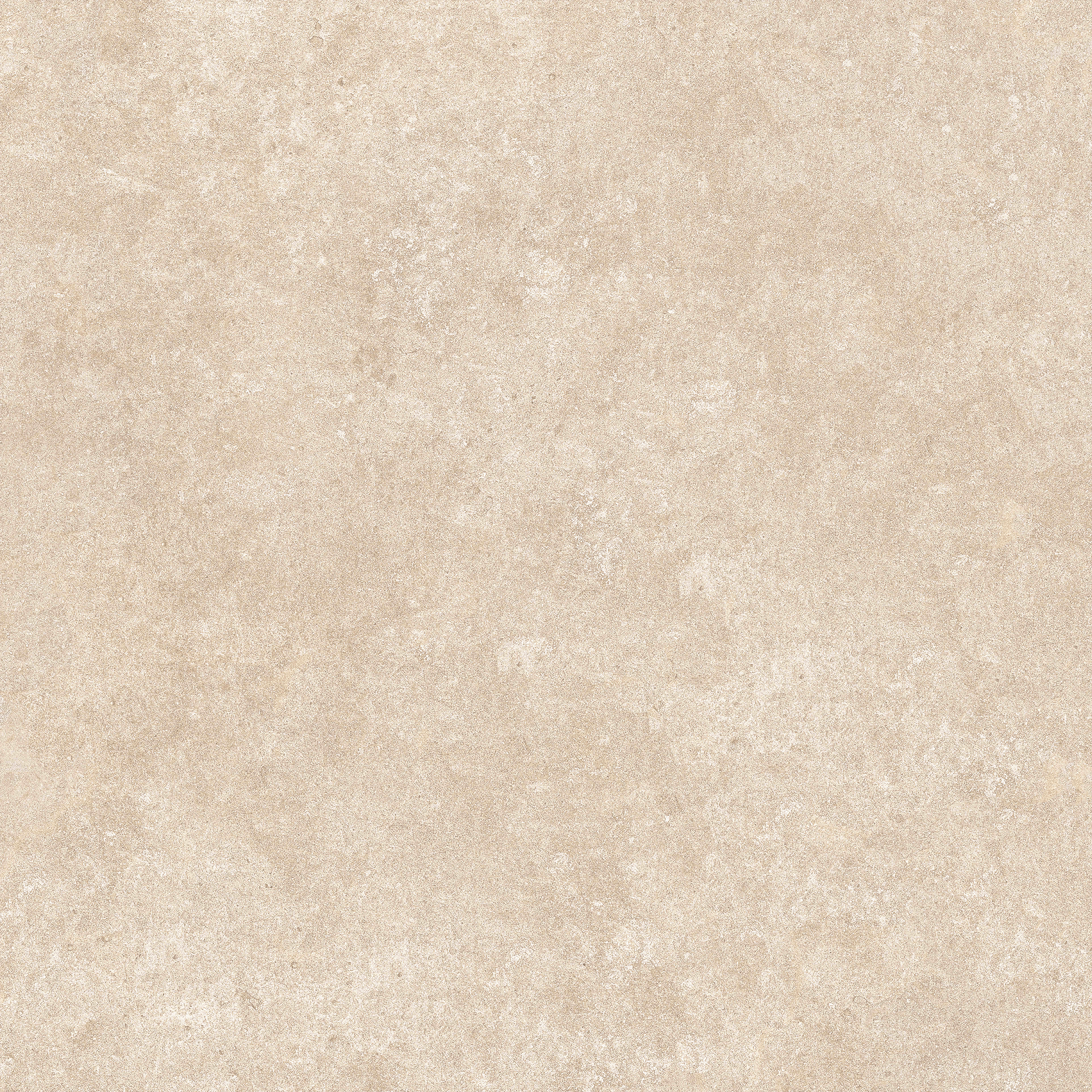 Arcides Latte