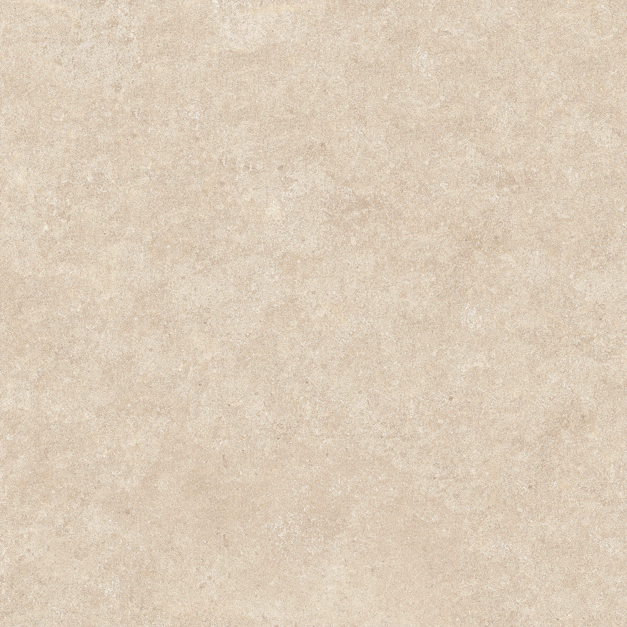 Arcides Latte