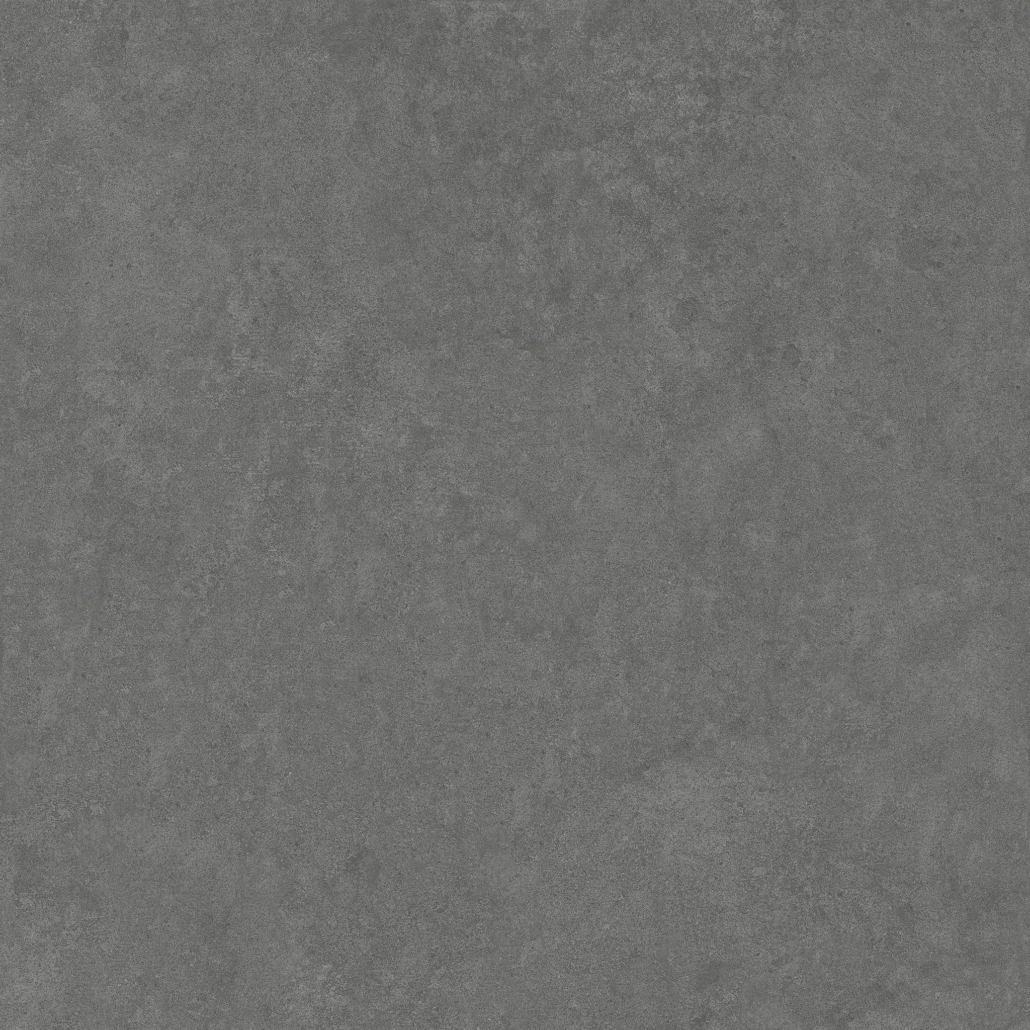 Arcides Grey