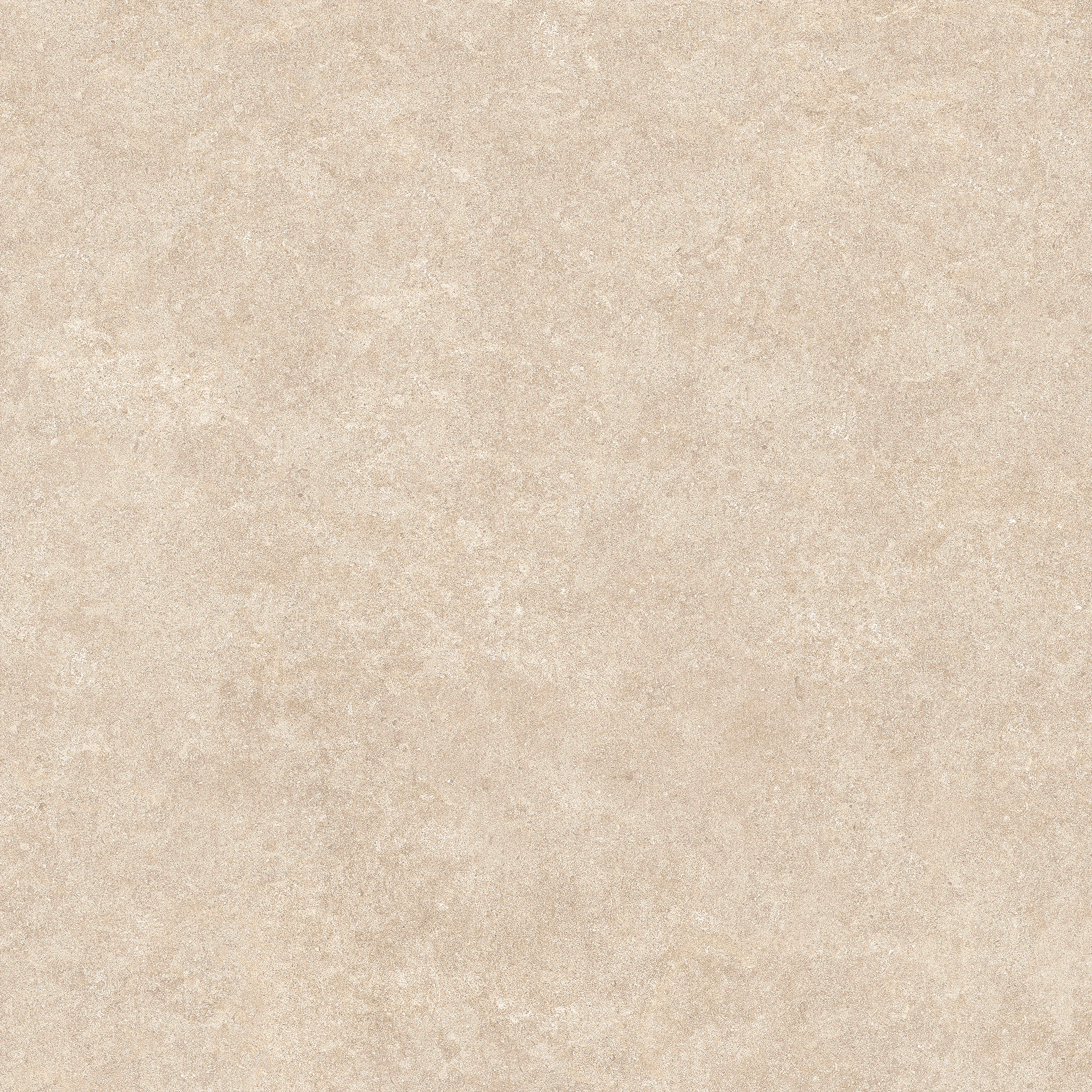 Arcides Latte
