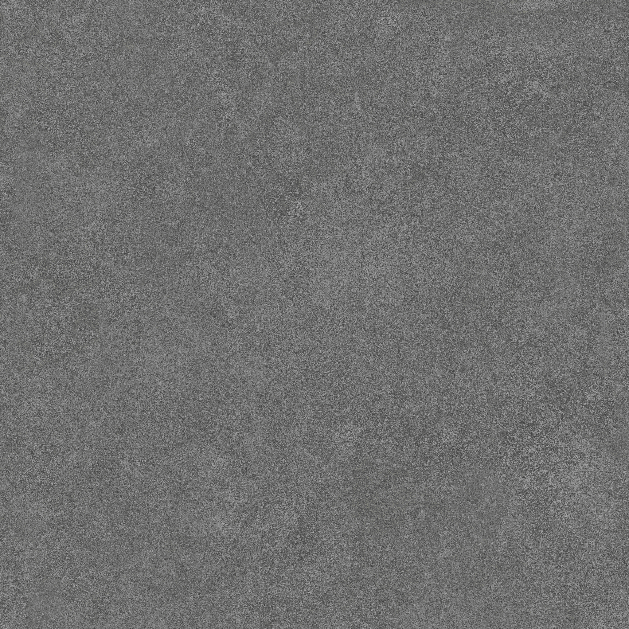 Arcides Grey