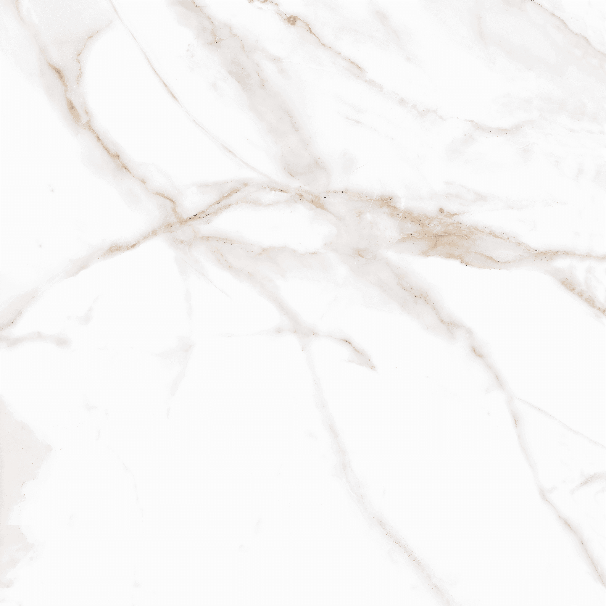 Antique Carrara Parlak