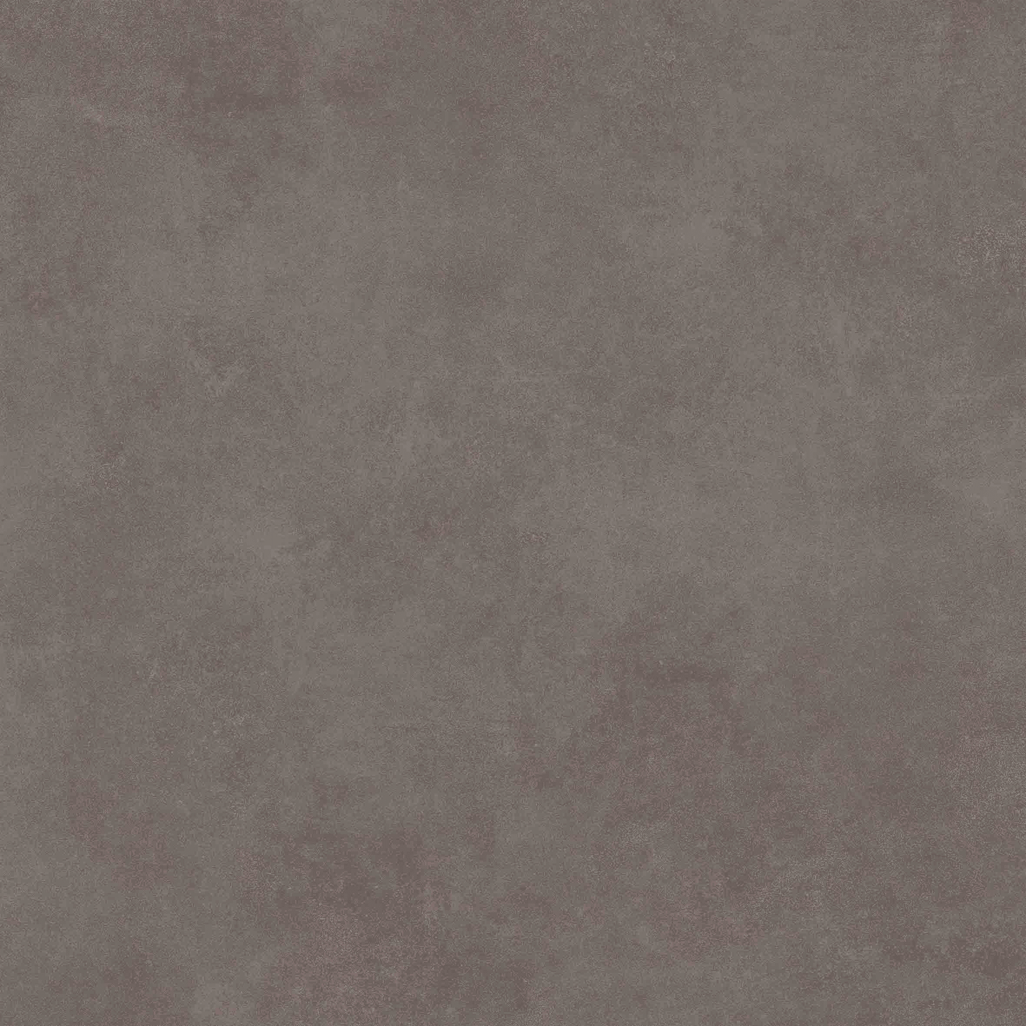 Concept Taupe