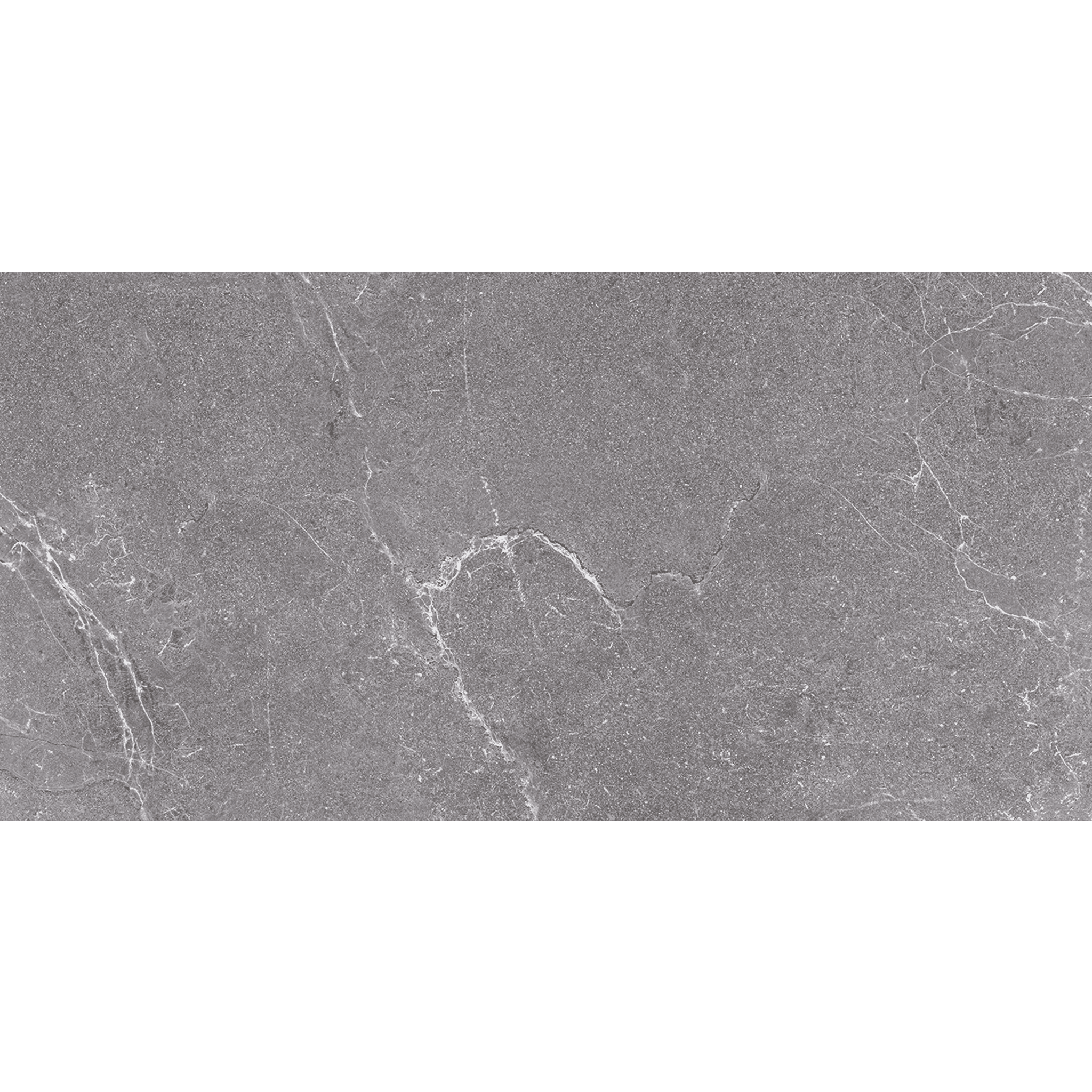 Salus Grey