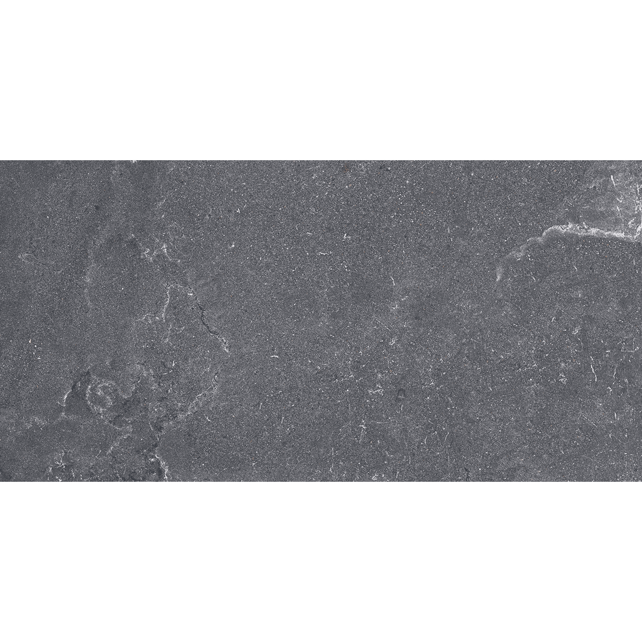 Salus Anthracite